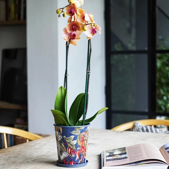 Indoor Planter with Saucer - Navy, Metal image