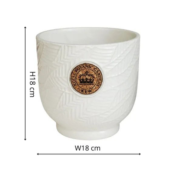 Leaf Embossed Plant Pot - Ivory, Cork