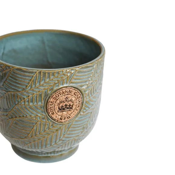Leaf Embossed Plant Pot - Light Moss, Cork