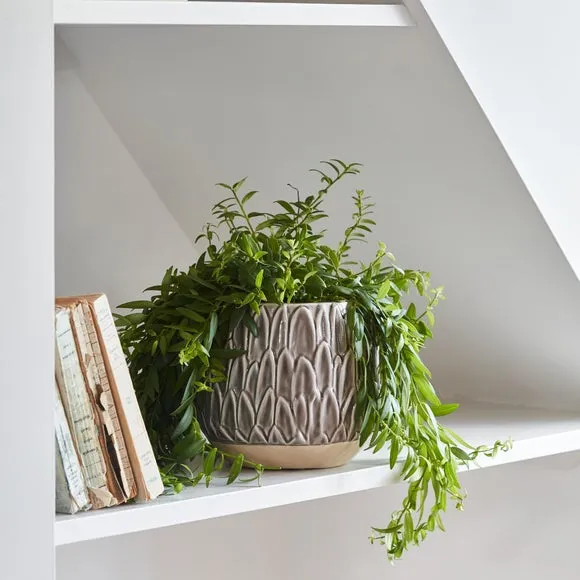 Leaf Embossed Plant Pot - Mocha image