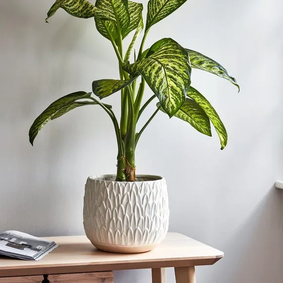 Leaf Embossed Plant Pot - White