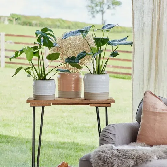 Lipped Plant Pot with Ripple Design - Peach, Ceramic