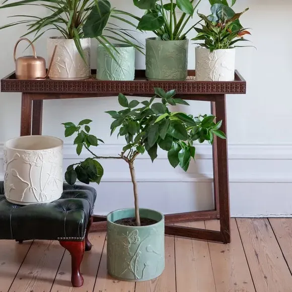 Meadow Plant Pot - Ivory, Stoneware