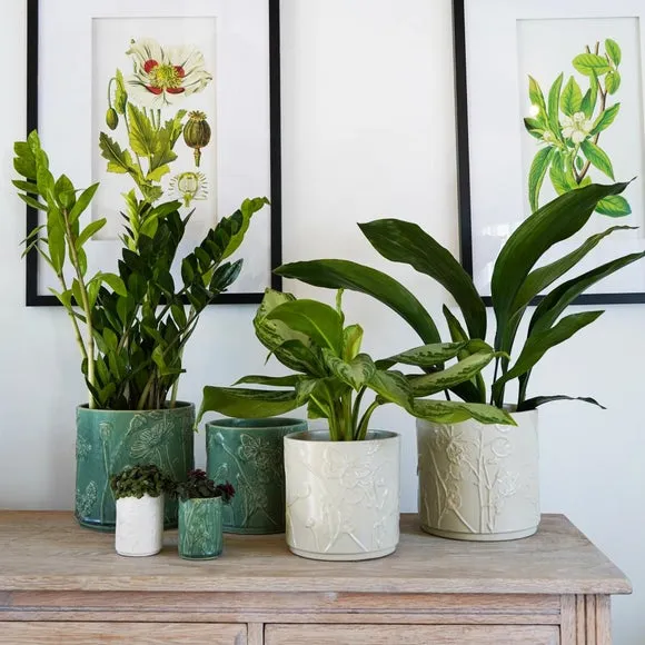 Meadow Plant Pot - Ivory, Stoneware