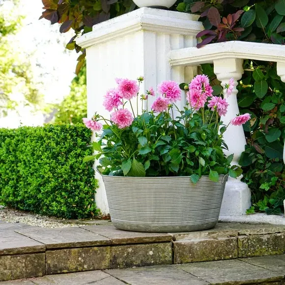 Oval Plant Pot with Handles - Grey, Iron image