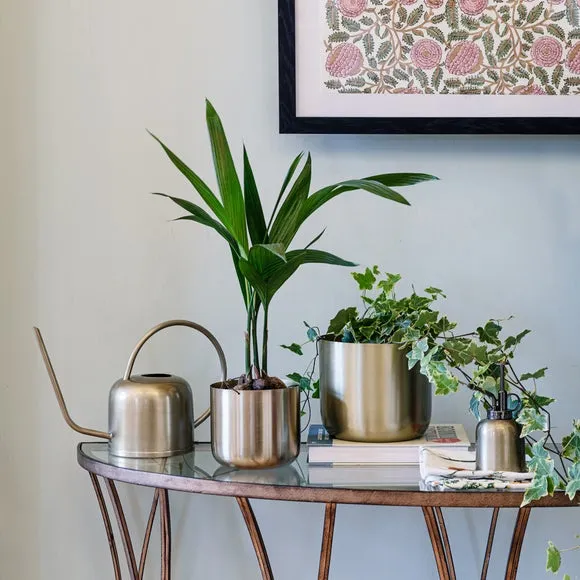 Plant Mister - Brass, Metal