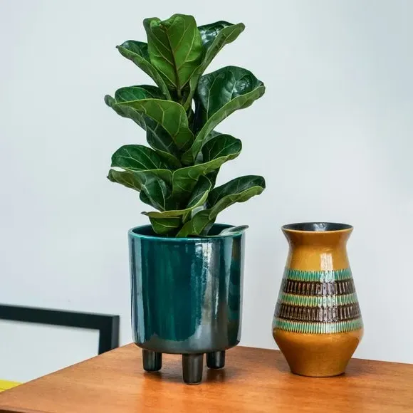 Plant Pot with Feet - Emerald, Ceramic image