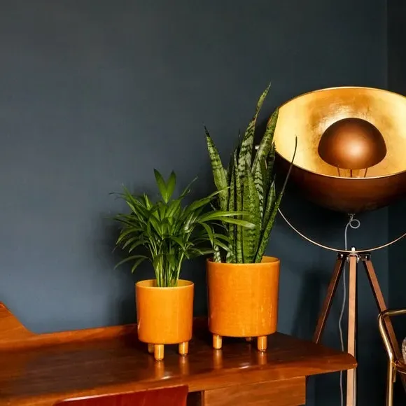 Plant Pot with Feet - Mustard, Ceramic