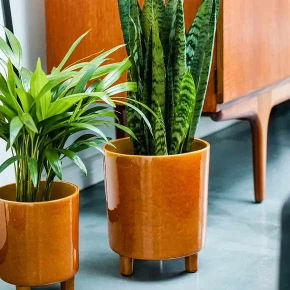 Plant Pot with Feet - Mustard, Ceramic