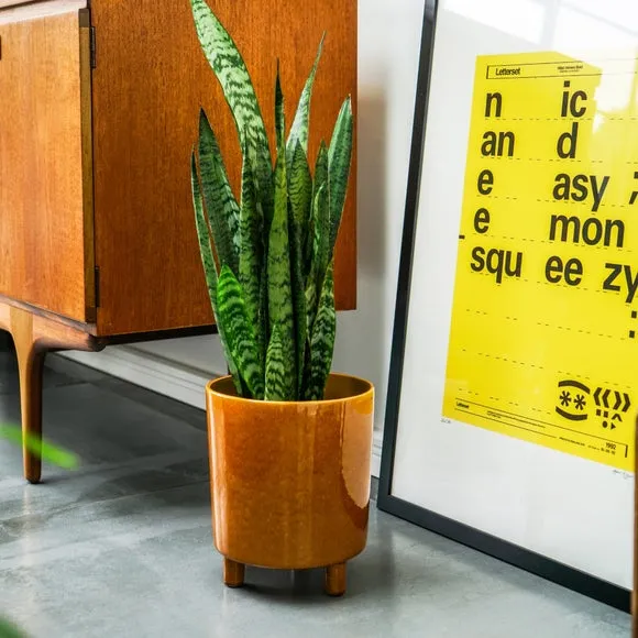 Plant Pot with Feet - Mustard, Ceramic