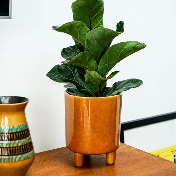 Plant Pot with Feet - Mustard, Ceramic