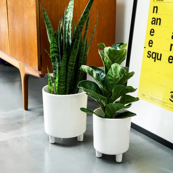 Plant Pot with Feet - White, Ceramic