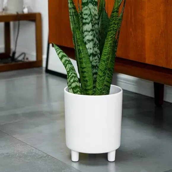 Plant Pot with Feet - White, Ceramic