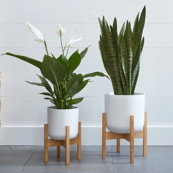 Plant Pot with Stand - White