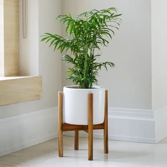 Plant Pot with Stand - White, Ceramic