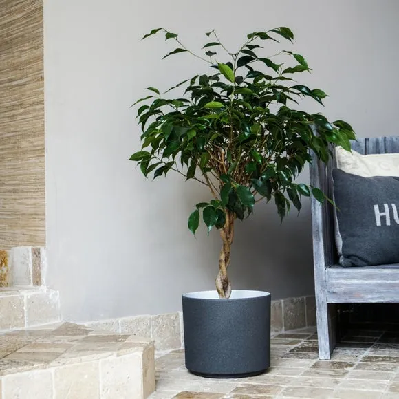 Plant Pot with Textured Finish - Granite image