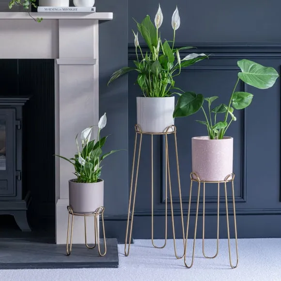 Plant Stand Contemporary Design - Gold, Iron