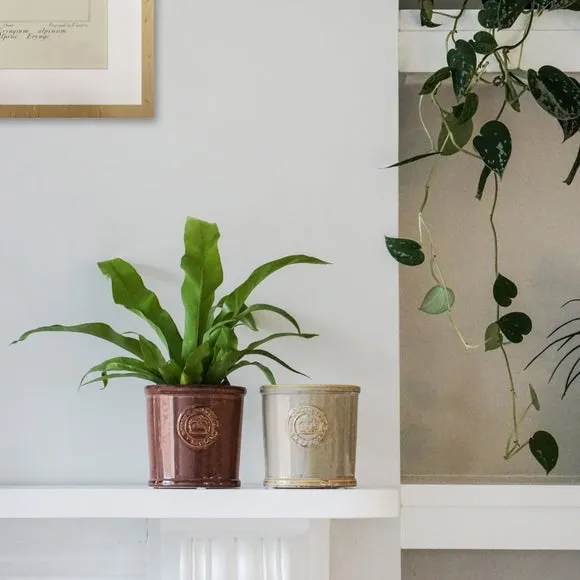 Reactive Glaze Plant Pot - Ivory, Ceramic