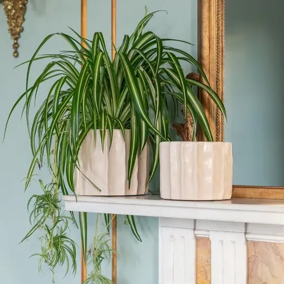 Ripple Plant Pot - Ivory, Ceramic image