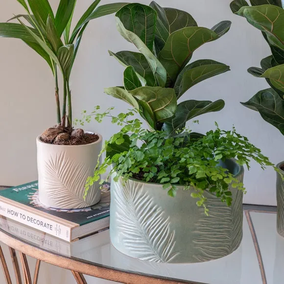 Round Plant Pot with Leaf Design - Olive, Stoneware