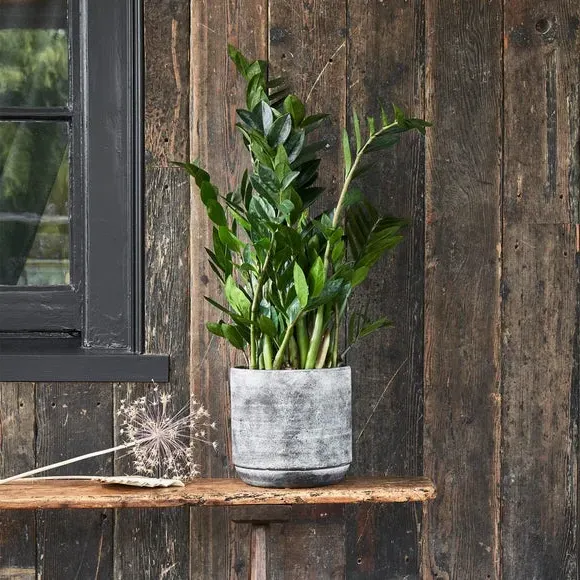 Round Plant Pot with Waterproof - Earth, Ceramic image