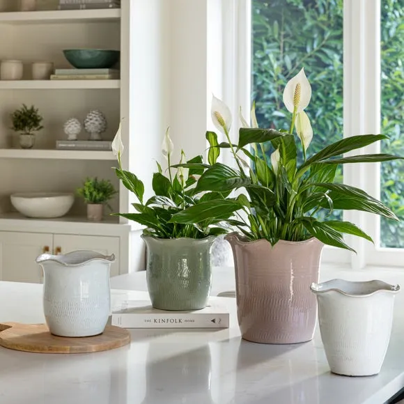 Scalloped Plant Pot with Fluted Design - Sage, Ceramic