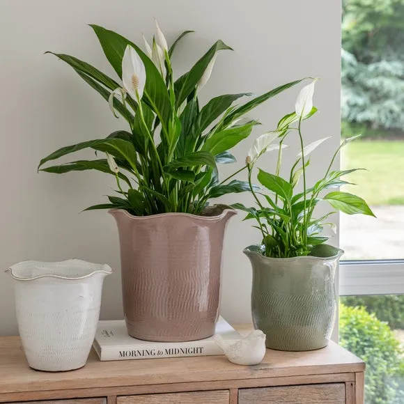 Scalloped Plant Pot with Fluted Design - Sage, Ceramic