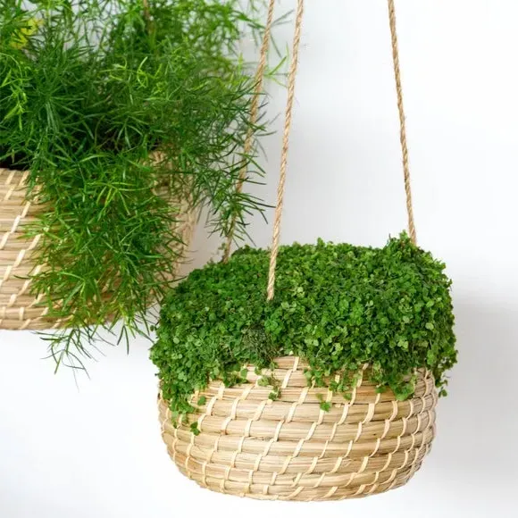 Set of 2 Hanging Plant Pots - Natural, Seagrass