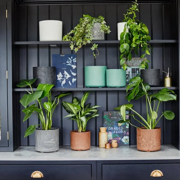 Set of 2 Plant Pots - Black, Artificial Stone