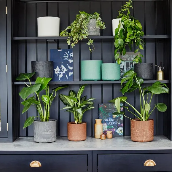 Set of 2 Plant Pots - Green, Artificial Stone