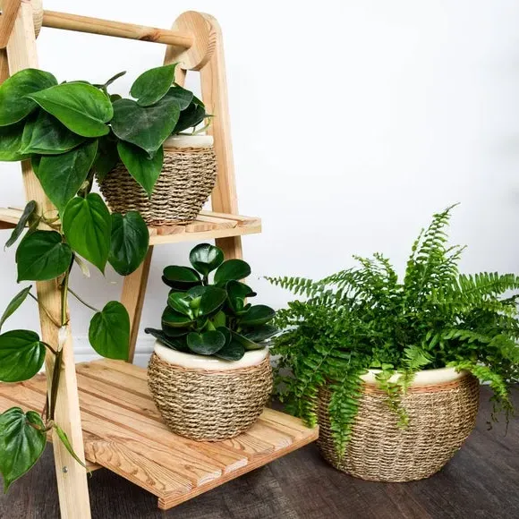 Set of 2 Plant Pots - Natural, Seagrass