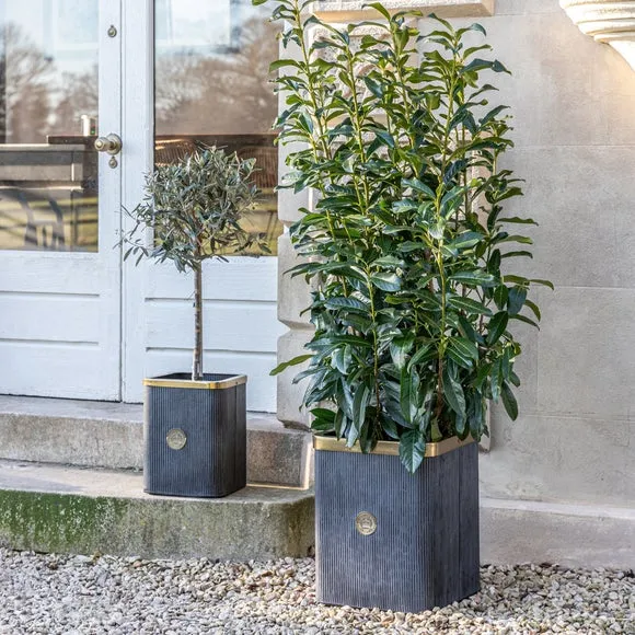 Set of 2 Plant Pots Ribbed Design - Grey