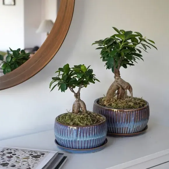 Set of 2 Round Plant Pots - Blue, Reactive Glaze