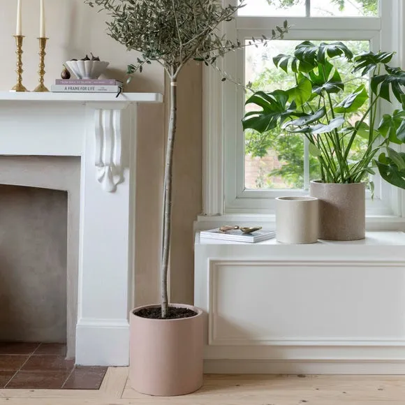 Set of 3 Plant Pots - Blush, Terrazzo