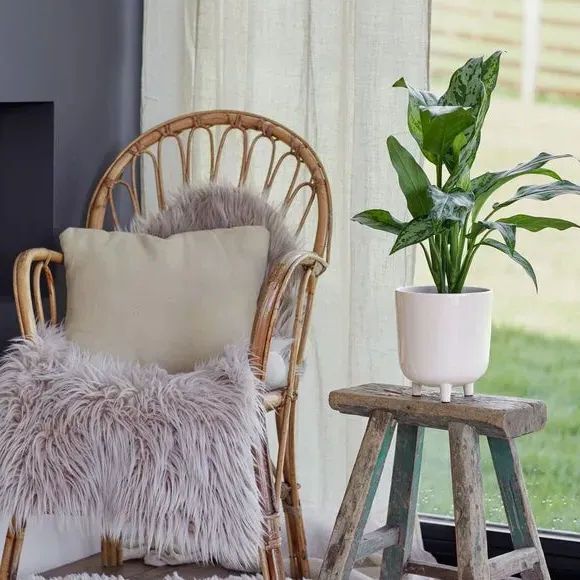 Speckled Plant Pot - White