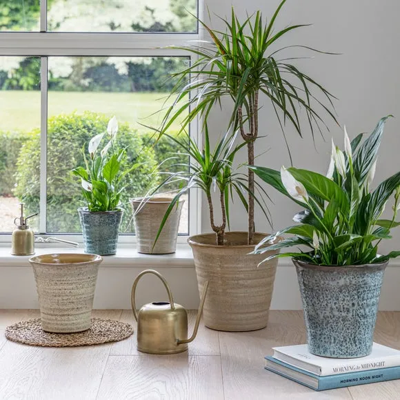 Tapered Plant Pot - Blue, Terracotta