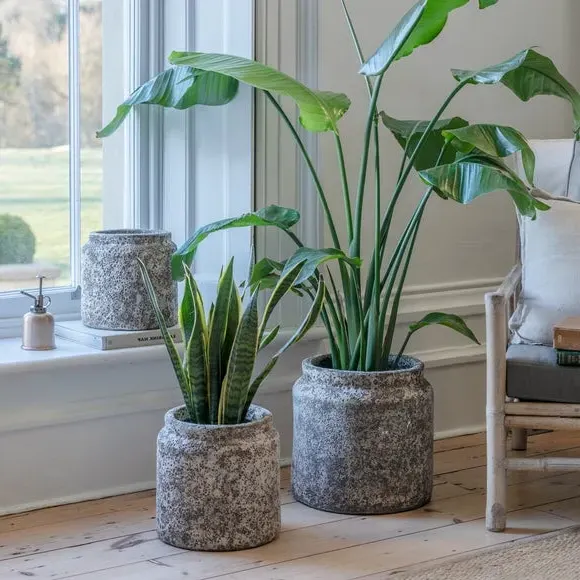 Textured Plant Pot - Grey image
