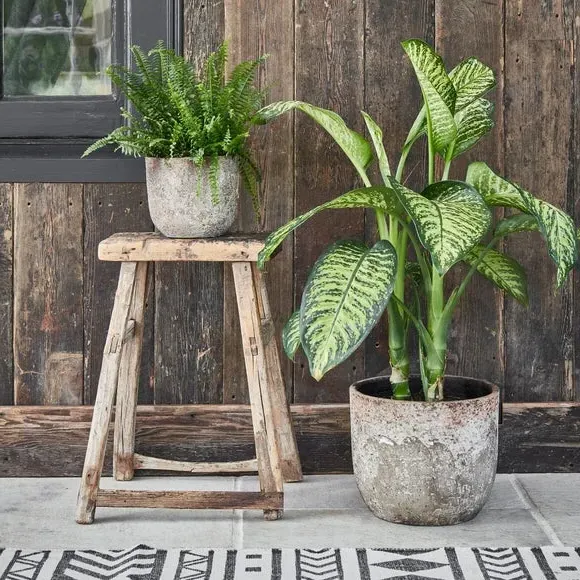 Textured Plant Pot - Natural, Ceramic