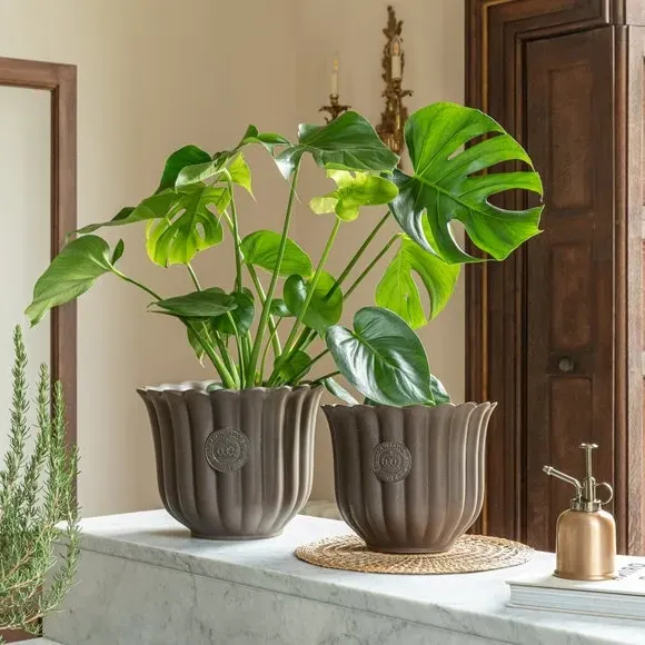 Tulip Plant Pot with Fluted Design - Mocha