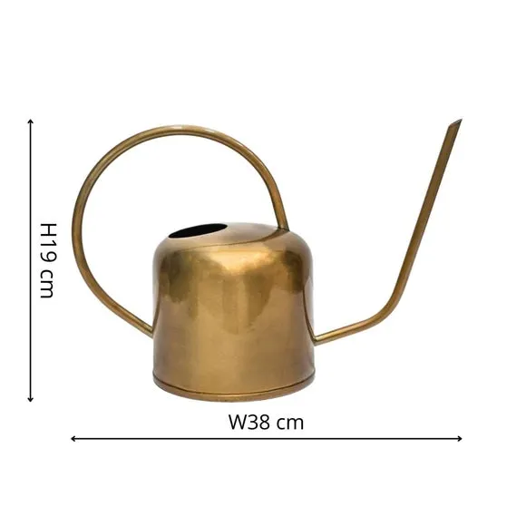 Watering Can with Matte Finish - Brass