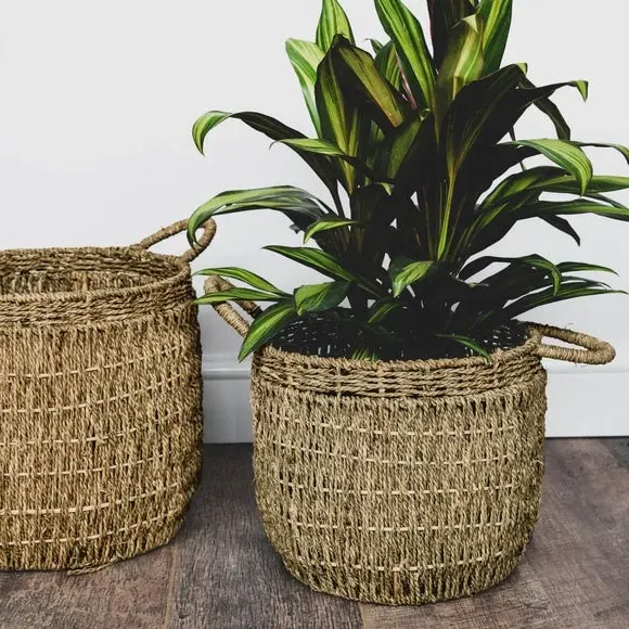 Woven Plant Basket with Handles - Natural, Seagrass