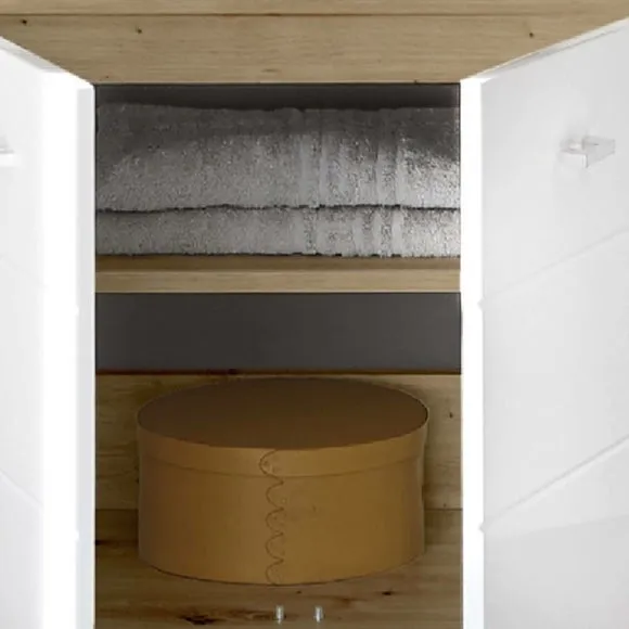 Under Sink Cabinet with Storage - White, Wood