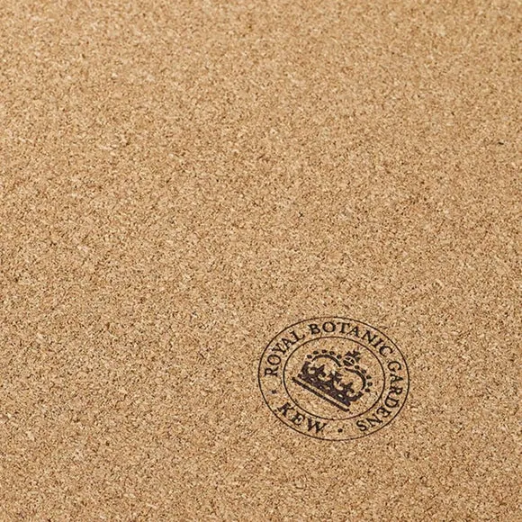 Set of 4 Rectangle Placemats - Green, Cork
