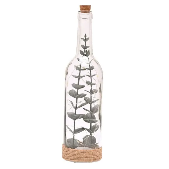 LED Light Bottle with Plants - Clear, Glass