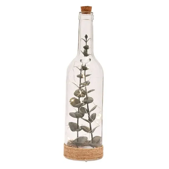 LED Light Bottle with Plants - Clear, Glass image