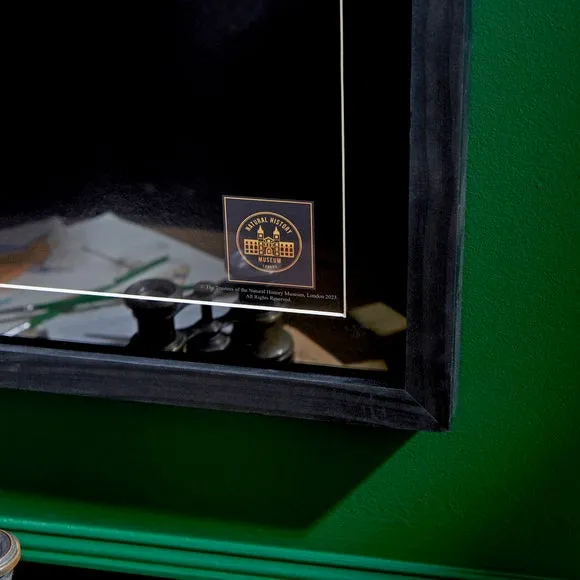 Bird of Paradise Framed Print - Black Frame