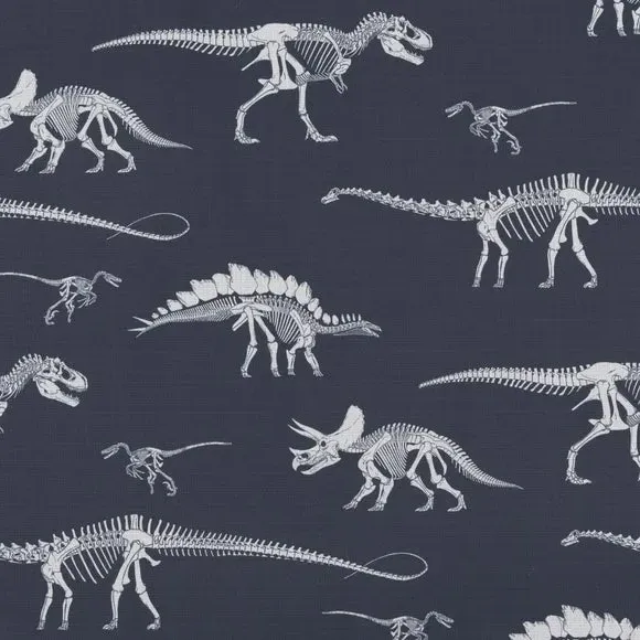 Blackout Roller Blind with Dinosaur Print - Black