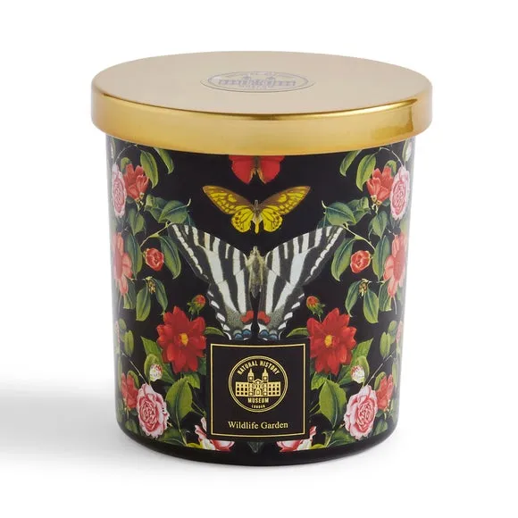 Butterfly Candle & Refill Set - Navy