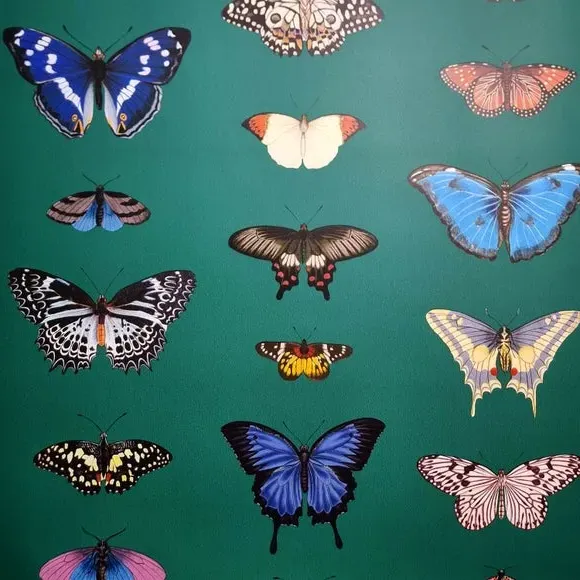 Butterfly Wallpaper - Emerald, Paper