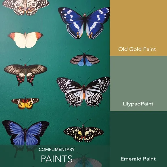 Butterfly Wallpaper - Emerald, Paper